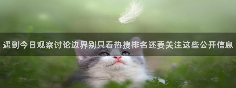 黑料吃瓜91：遇到今日观察讨论边界别只看热搜排名还要关注这些公开信息