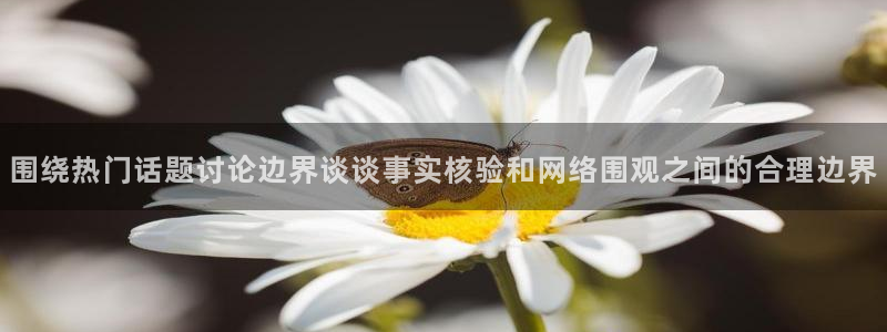 91吃瓜在线：围绕热门话题讨论边界谈谈事实核验和网络围观之间的合理边界