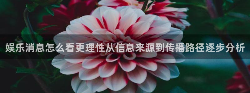 51吃瓜娜娜