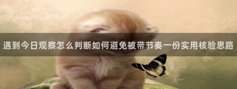 黑料网吃瓜