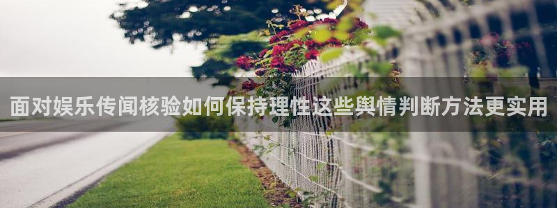 吃瓜入口