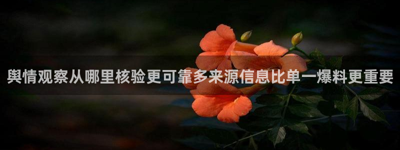 吃瓜黑料网:舆情观察从哪里核验更可靠多来源信息比单一爆料更重要