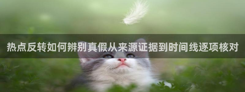 黑料吃瓜：热点反转如何辨别真假从来源证据到时间线逐项核对
