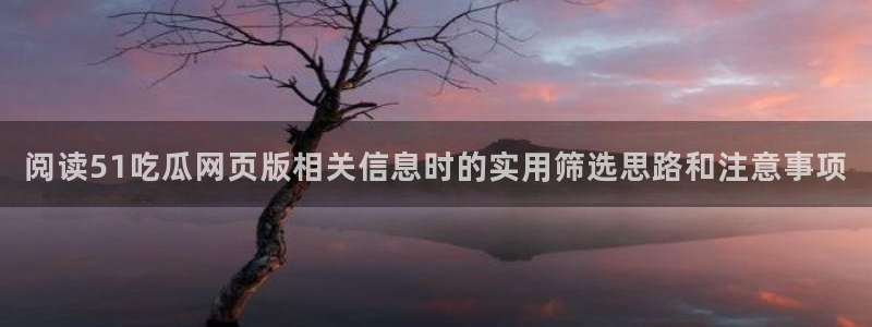 黑料吃瓜:阅读51吃瓜网页版相关信息时的实用筛选思路和注意事项